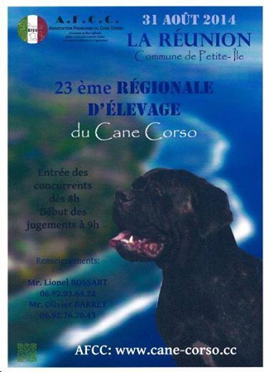 Du Repaire D'Ayaros - REGIONALE D'ELEVAGE CANE CORSO