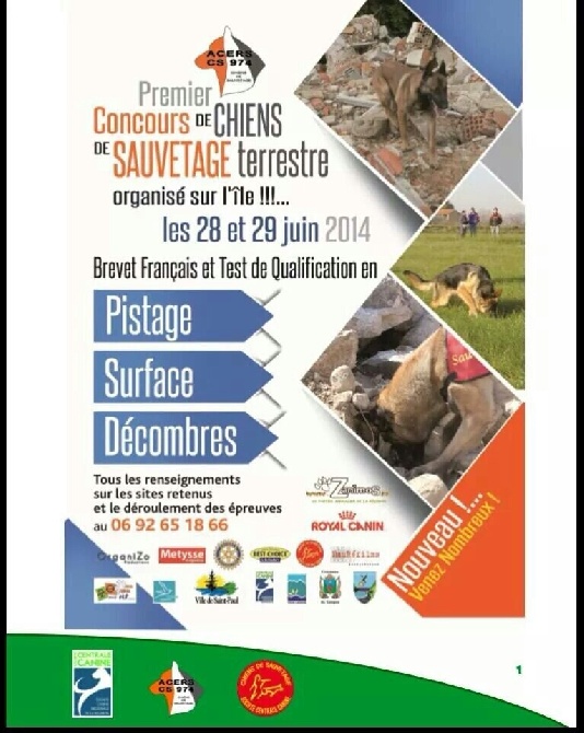 Du Repaire D'Ayaros - CONCOURS CHIENS DE SAUVETAGE TERRESTRE