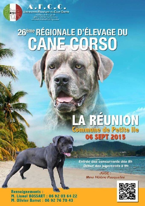 Du Repaire D'Ayaros - REGIONALE D'ELEVAGE CANE CORSO 2015